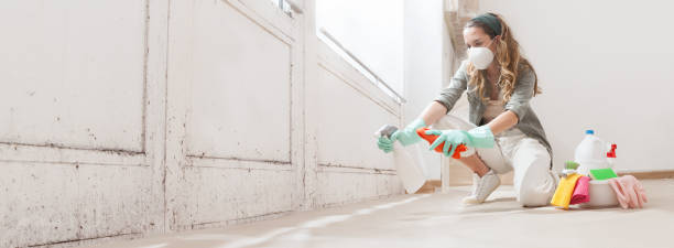 Best Biohazard Mold Removal  in Sandy Oaks, TX